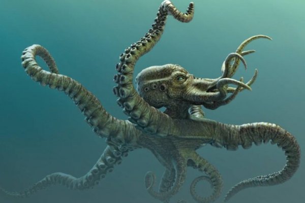 Kraken сайт зеркала krakens15 at