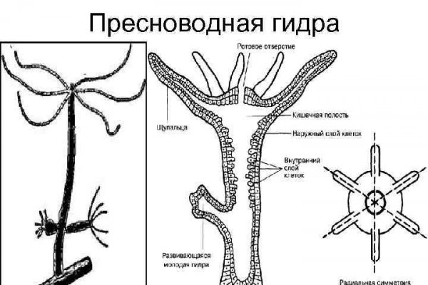 Kraken сайт krakens15 at