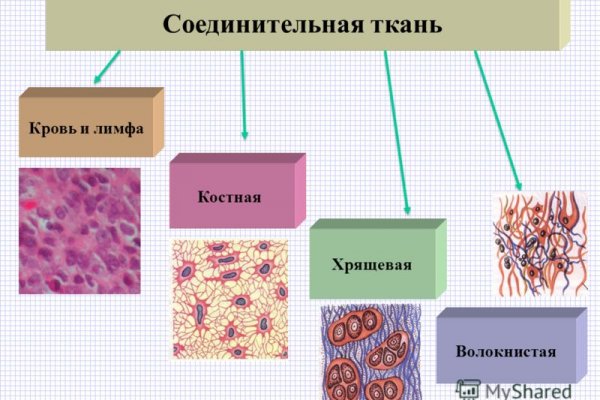 Кракен даркнет скачать