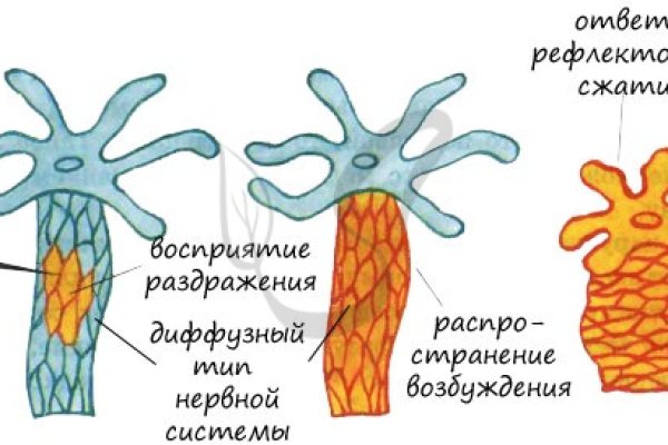 Кракен сайт как выглядит